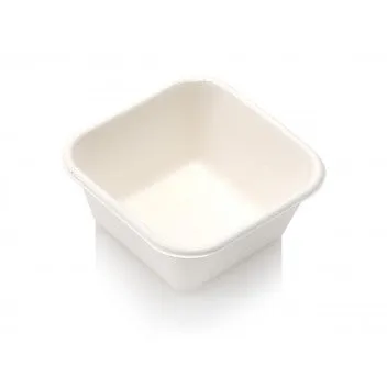 250ml Biodegradable Sugar Cane Food Meal Container Square White 10pack