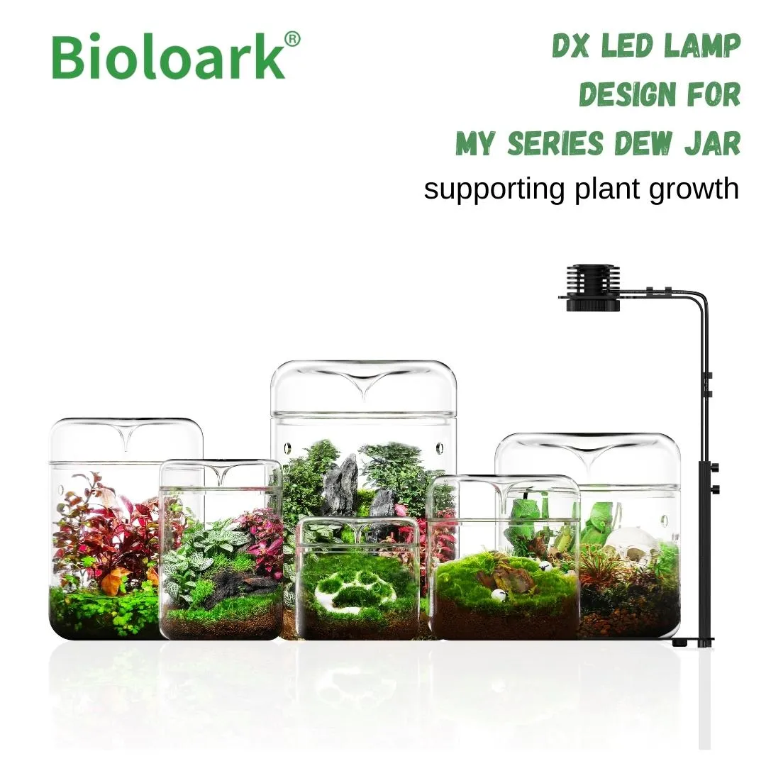 BIOLOARK Wabi Kusa Led lamp (DX series)