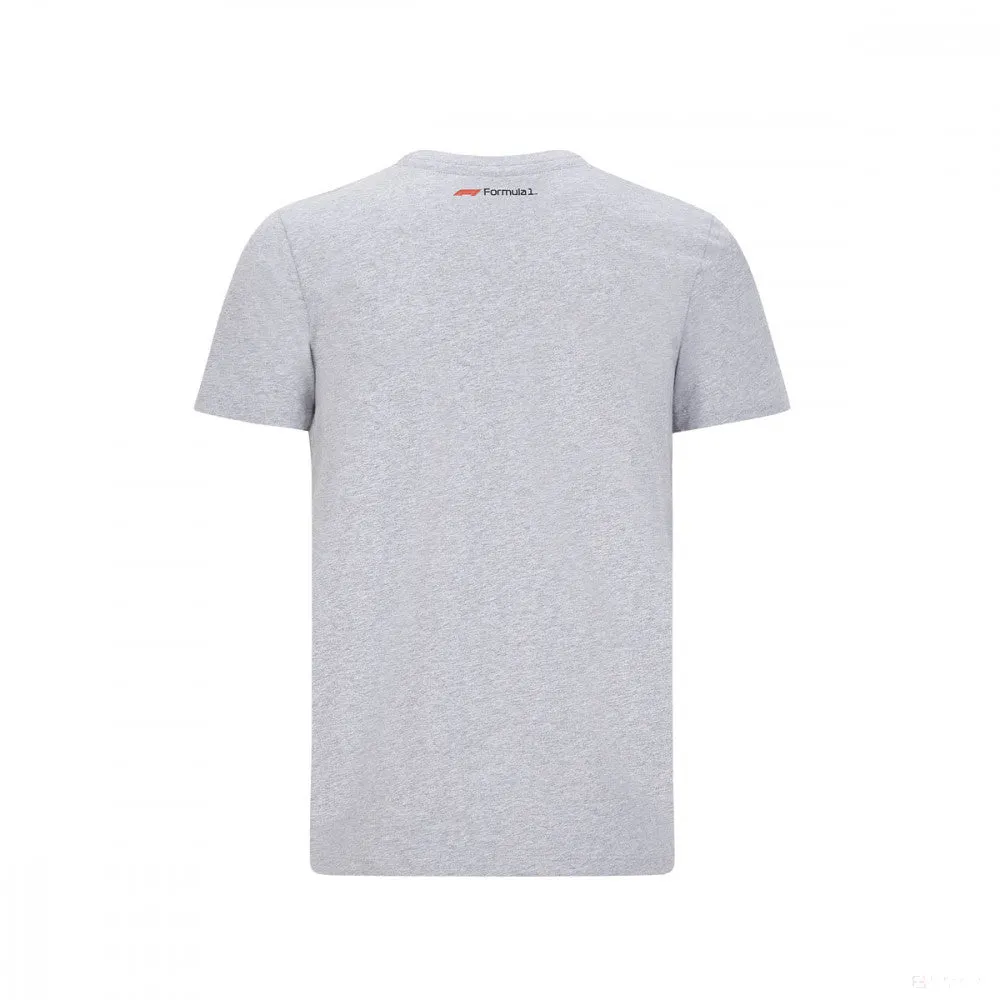 Formula 1 T-shirt, Formula 1 Logo, Grey, 2020