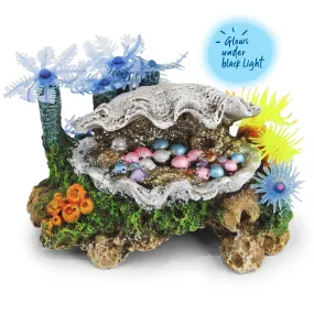 White Clam With Soft Coral & Plants - Small